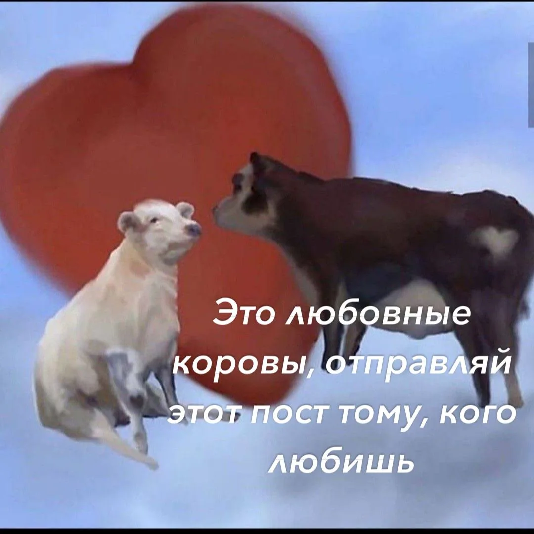 *пересылай этот пост тем, кого реально любишь и кем дорожишь ❤️