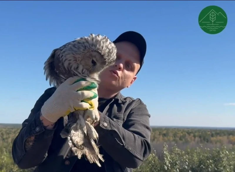 🦉 Спасённых в Екатеринбурге сов вернули в дикую природу.