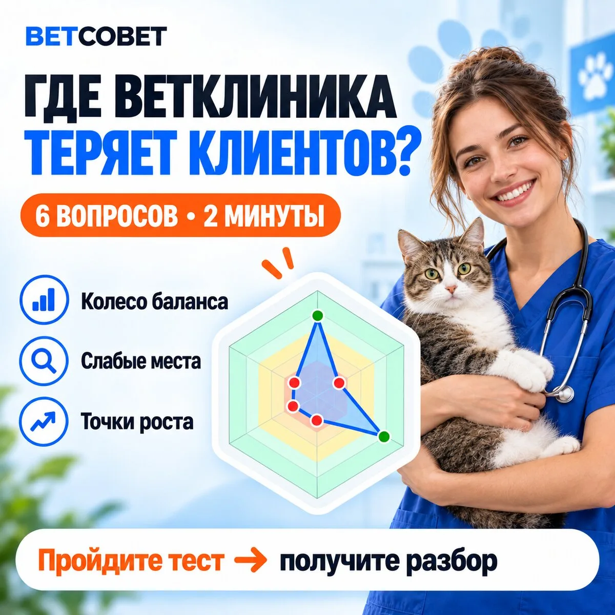 Управление ветклиникой: где растёт прибыль