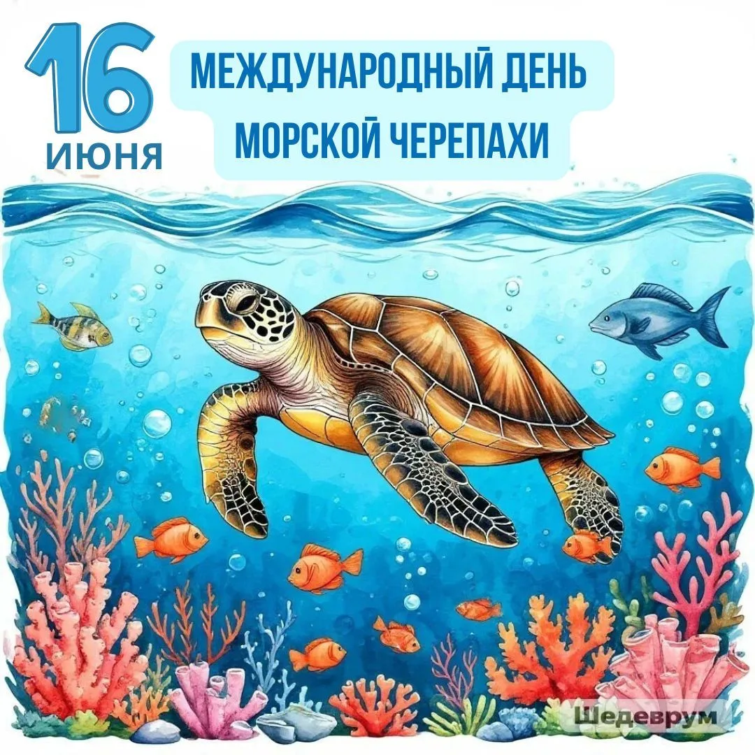 🐢 16 июня – Международный день морской черепахи!
