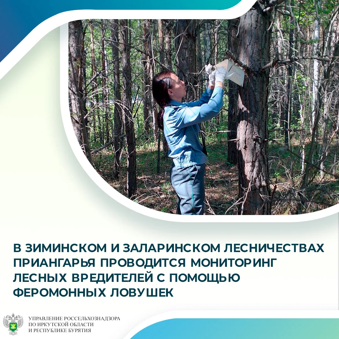В июне 2026 года государственные инспекторы Управления Россельхознадзора по Иркутской области и Респ