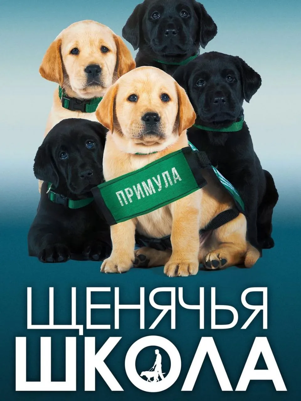 ✨ 9 документалок, которые прокачают любопытство вашего ребёнка.  Они помогут взглянуть на науку и пр