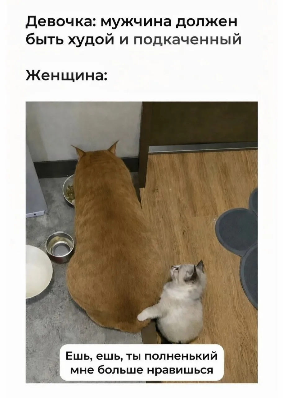 Наш канал ЛУЧИК РАДОСТИ ✨
