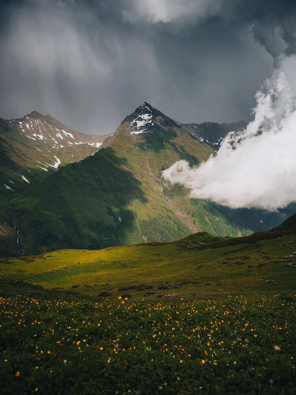⛰ Читатели делятся атмосферными кадрами летних гор Сочи. 

Сейчас там самый сок: яркая зелень, спаси