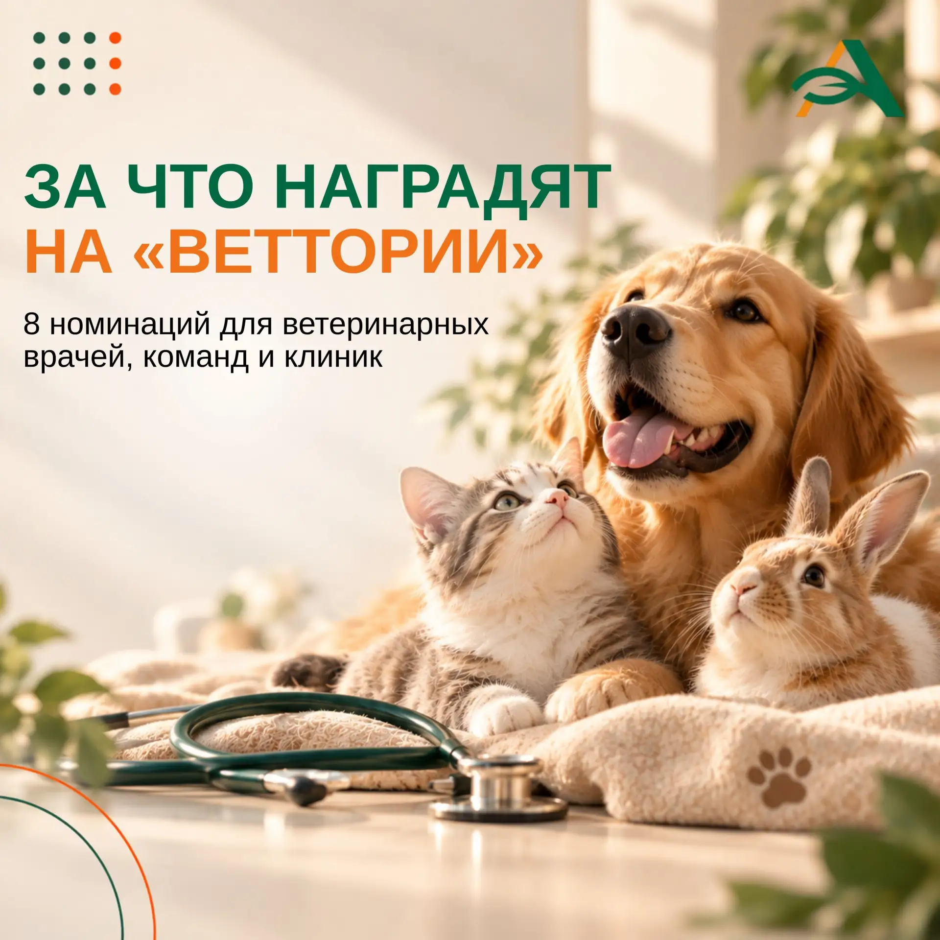 🏆От сложного клинического случая до нового метода лечения: за что наградят на «ВЕТТОРИИ»