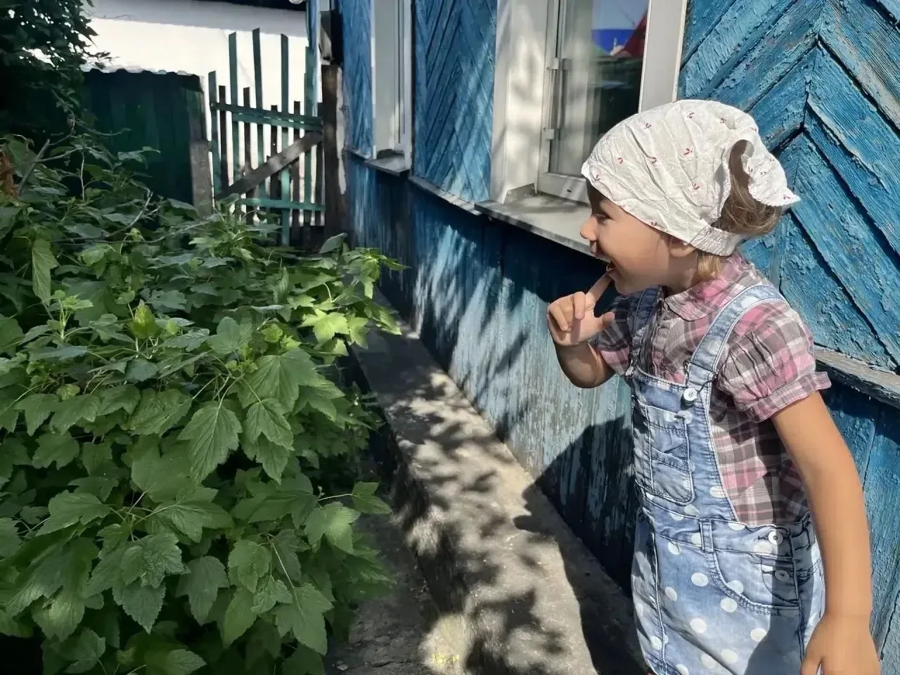 Лето — это не только время каникул и беззаботных игр, но и самый настоящий живой урок природы. Когда
