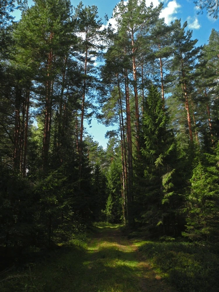 Тверская область💚