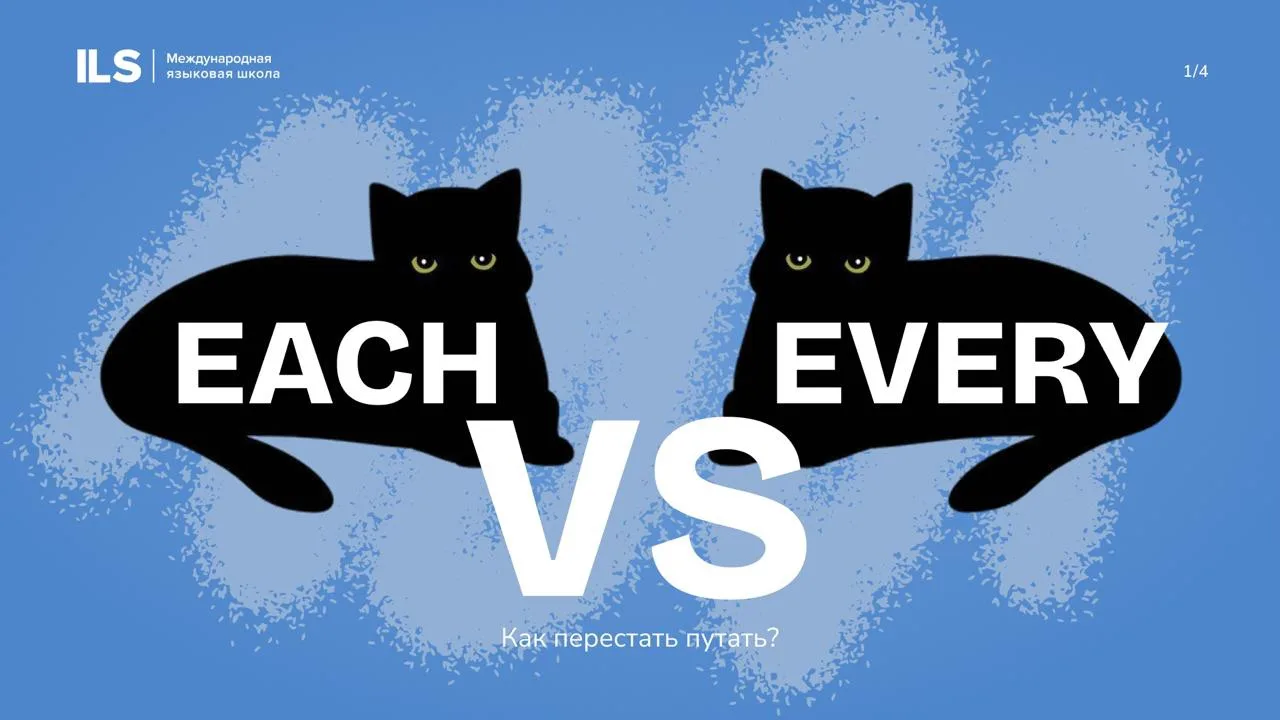 Each vs Every ❓