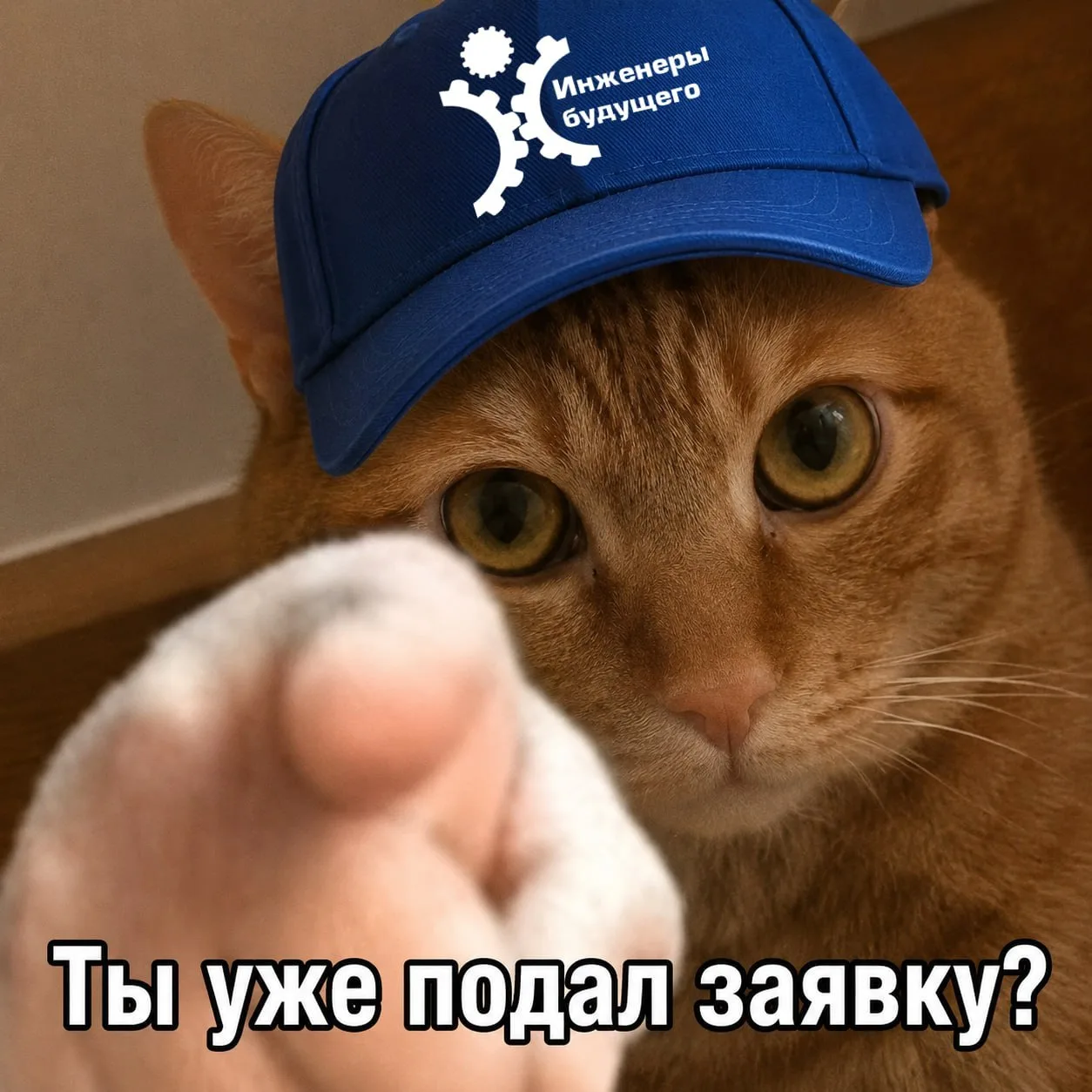 ➡️В прошлом году на КВН люди сидели даже в проходах, потому что мест не было, а «Мисс Ф...