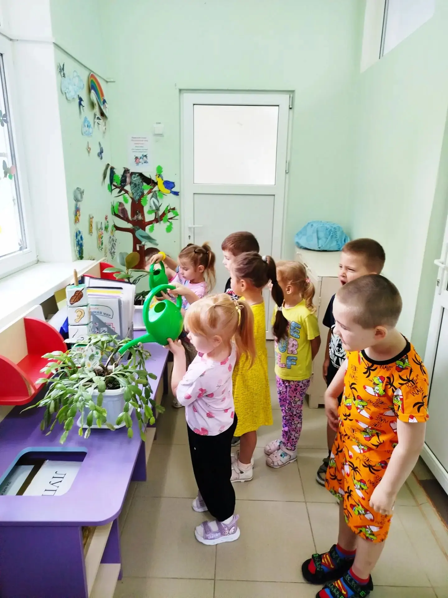 Трудовая деятельность в уголке природы. 
Средняя группа 
Воспитатель Анучина Э.Д.
