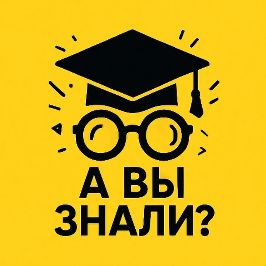 🎵 Музыка против боли: доказанная сила искусства
