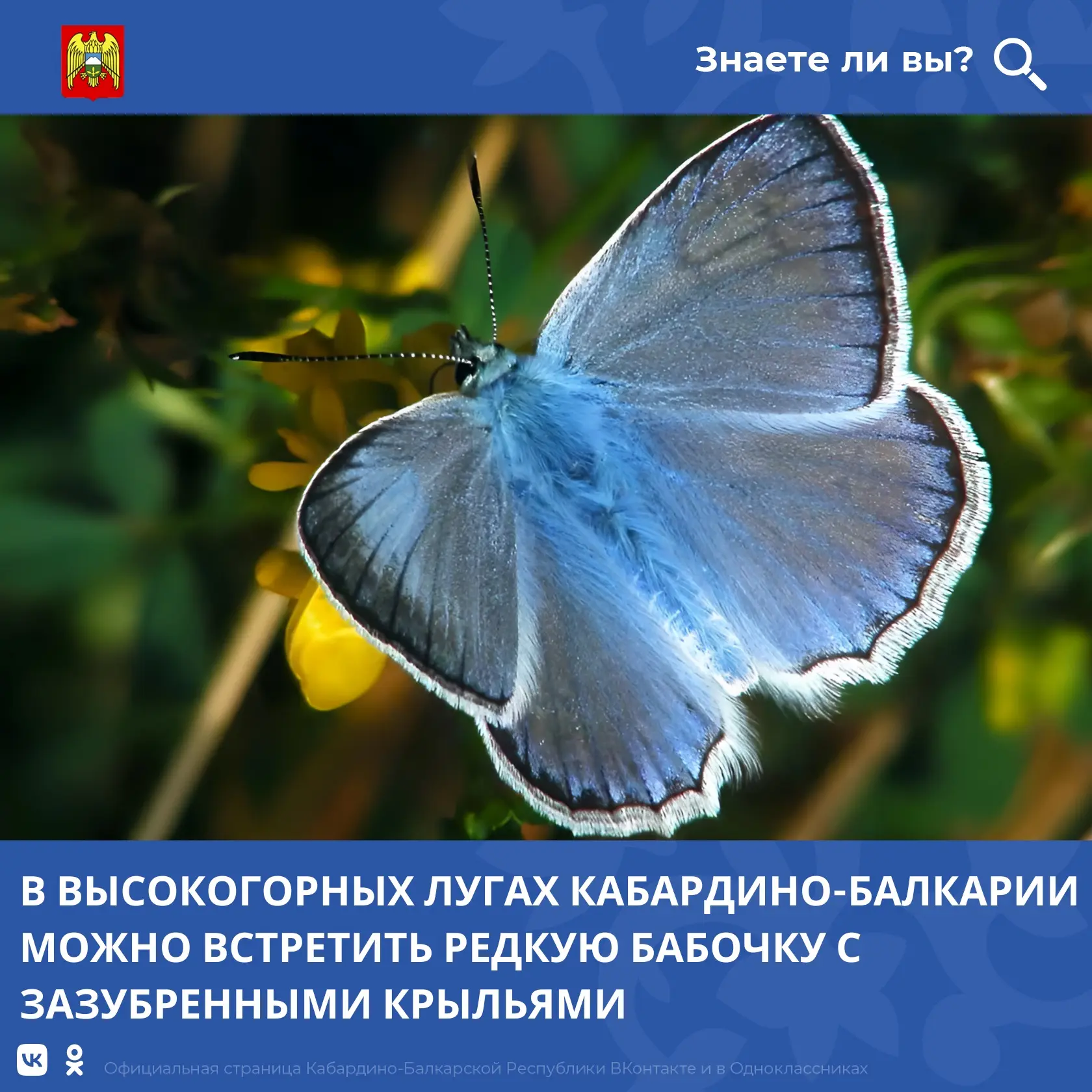 Кабардино-Балкария известна уникальными высокогорными ландшафтами, которые служат место...