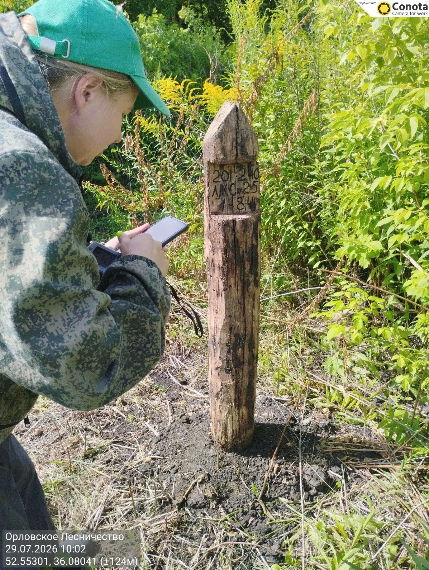 В рамках осуществления государственного мониторинга воспроизводства лесов специалистами...
