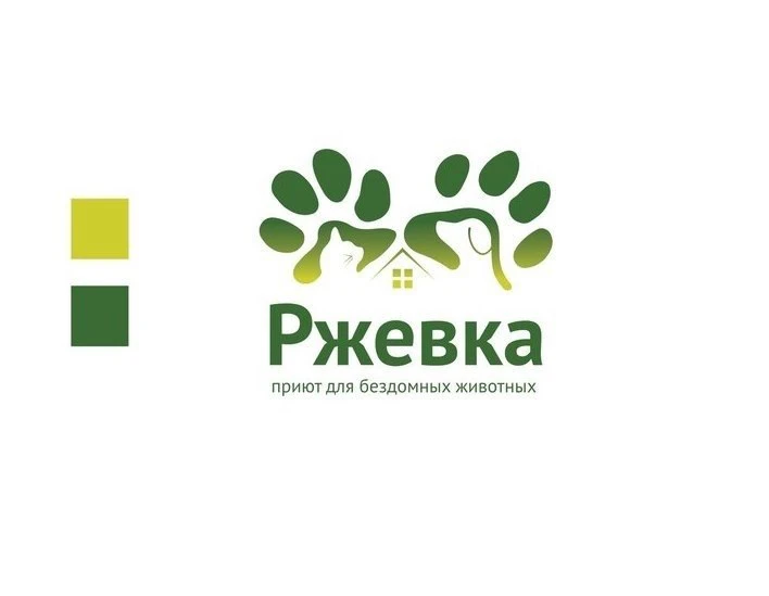 Уважаемые друзья, хотим предупредить вас о приюте «Ржевка». Недавно выходил пост о котя...