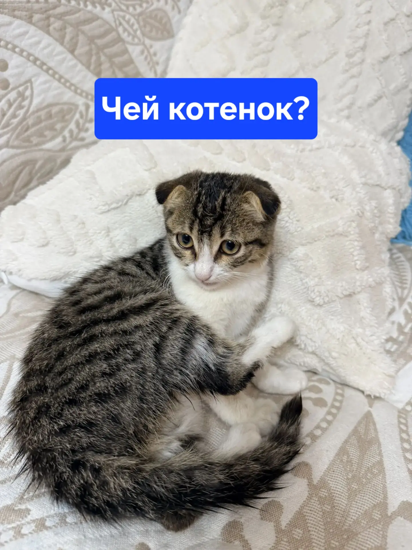 Добрый вечер Ирина! Можно выложить объявление в группе Горячий ключ ?На  улице Кириченк...