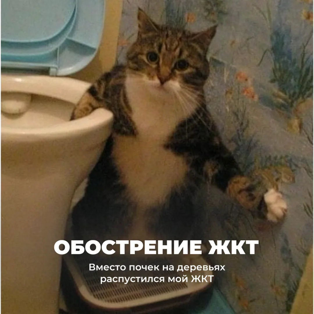 Поговорим честно? 🤫  Я тут на приеме узнала, что вы стесняетесь писать в чат свои вопросы. Давайте с