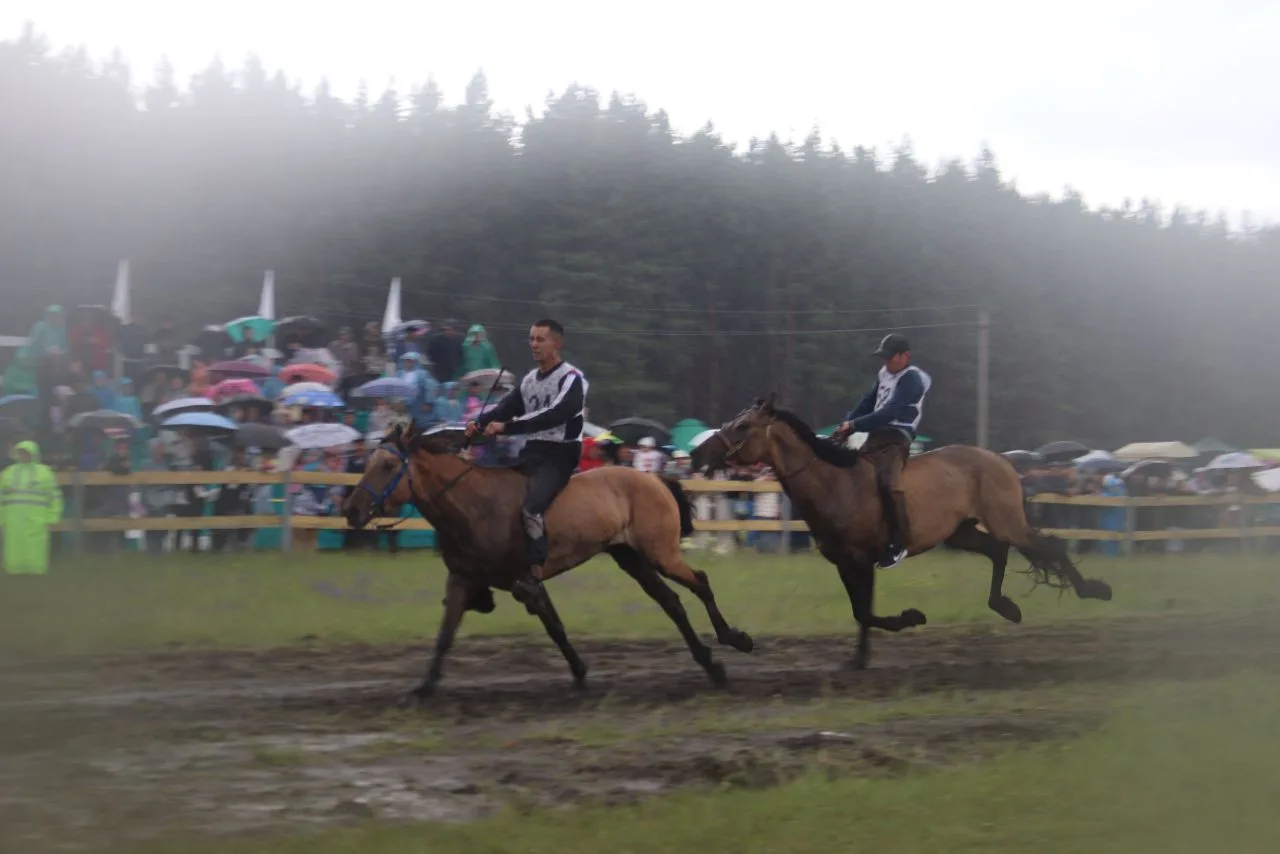 🏇Главным событием дня стали традиционные конные скачки. Азарт и скорость, характерные ...