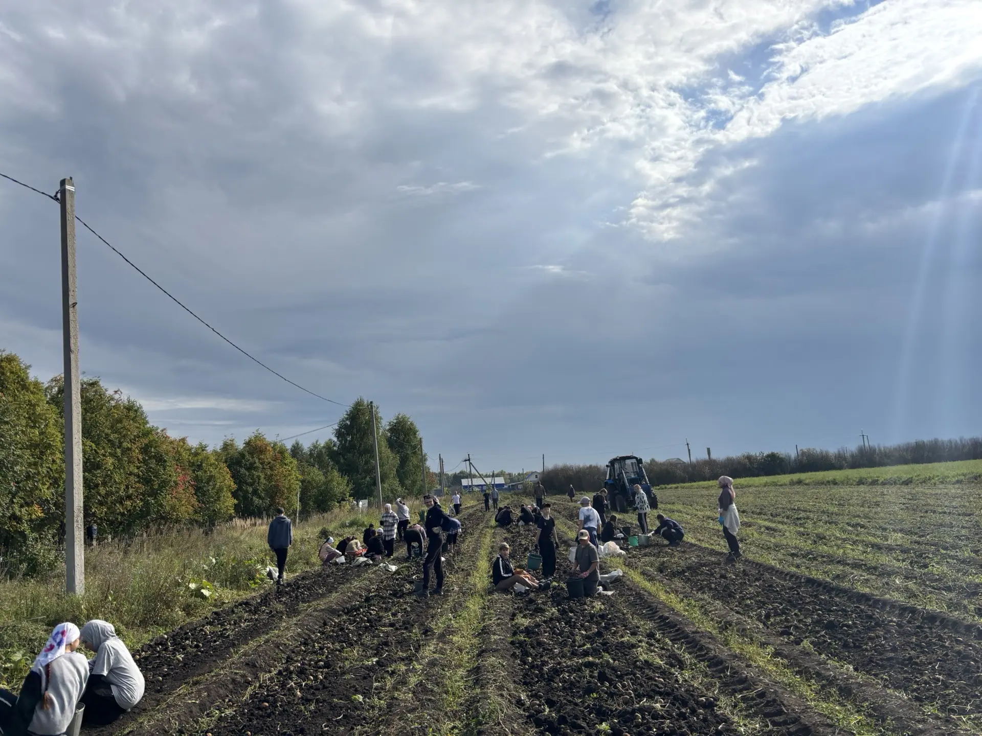 🍂 Золотая осень в самом разгаре, а вместе с ней — время щедрых даров!