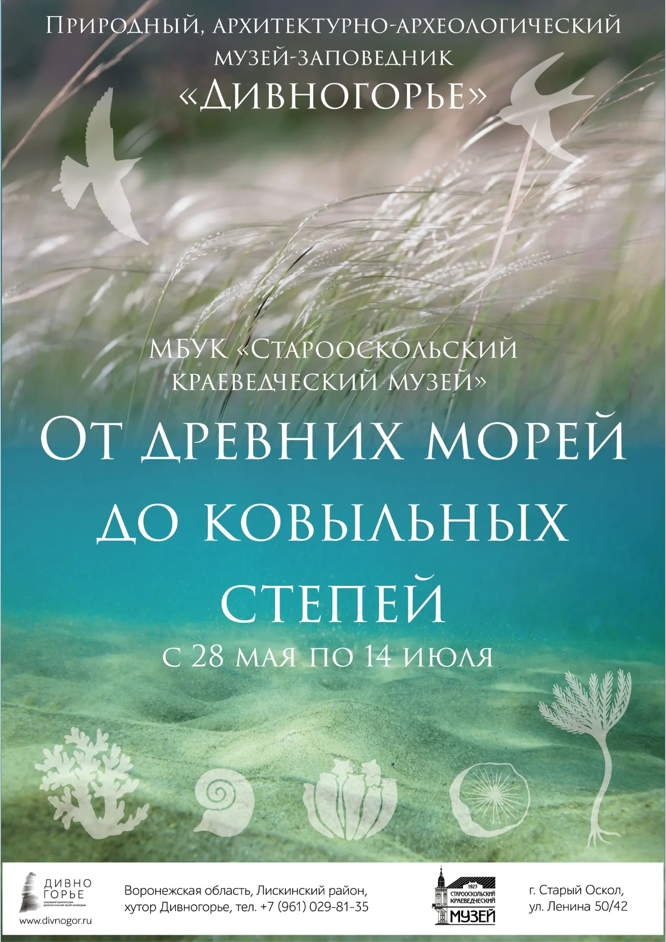 🌿 28 мая в Старооскольском краеведческом музее состоится открытие выставки «От древних...