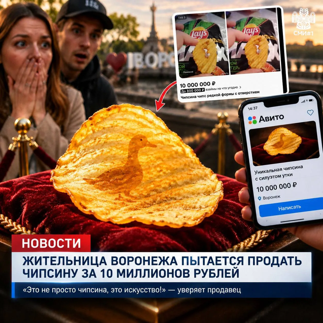 Жительница Воронежа оценила чипс в 10 млн рублей