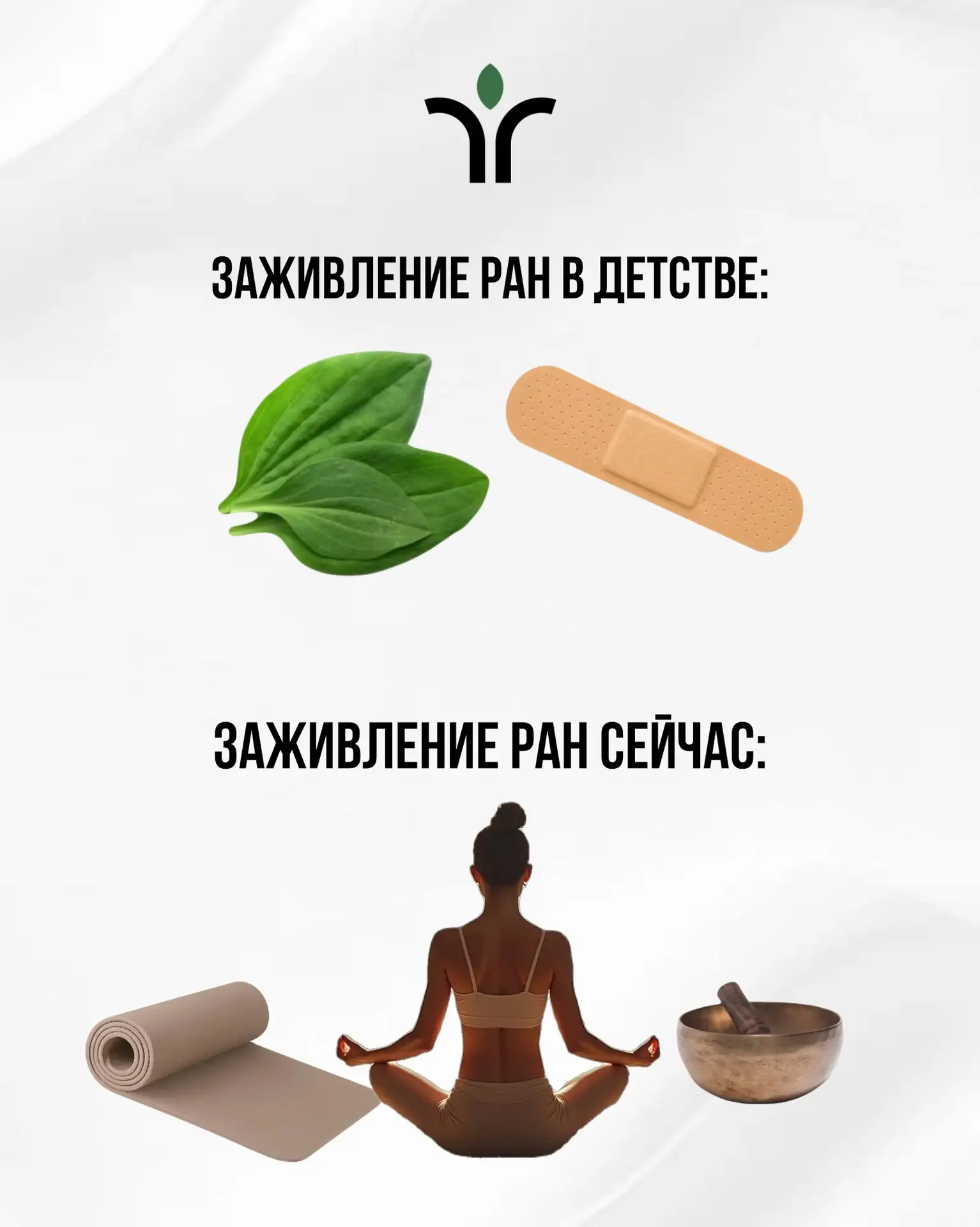 🌱А как вы заживляете свои раны?