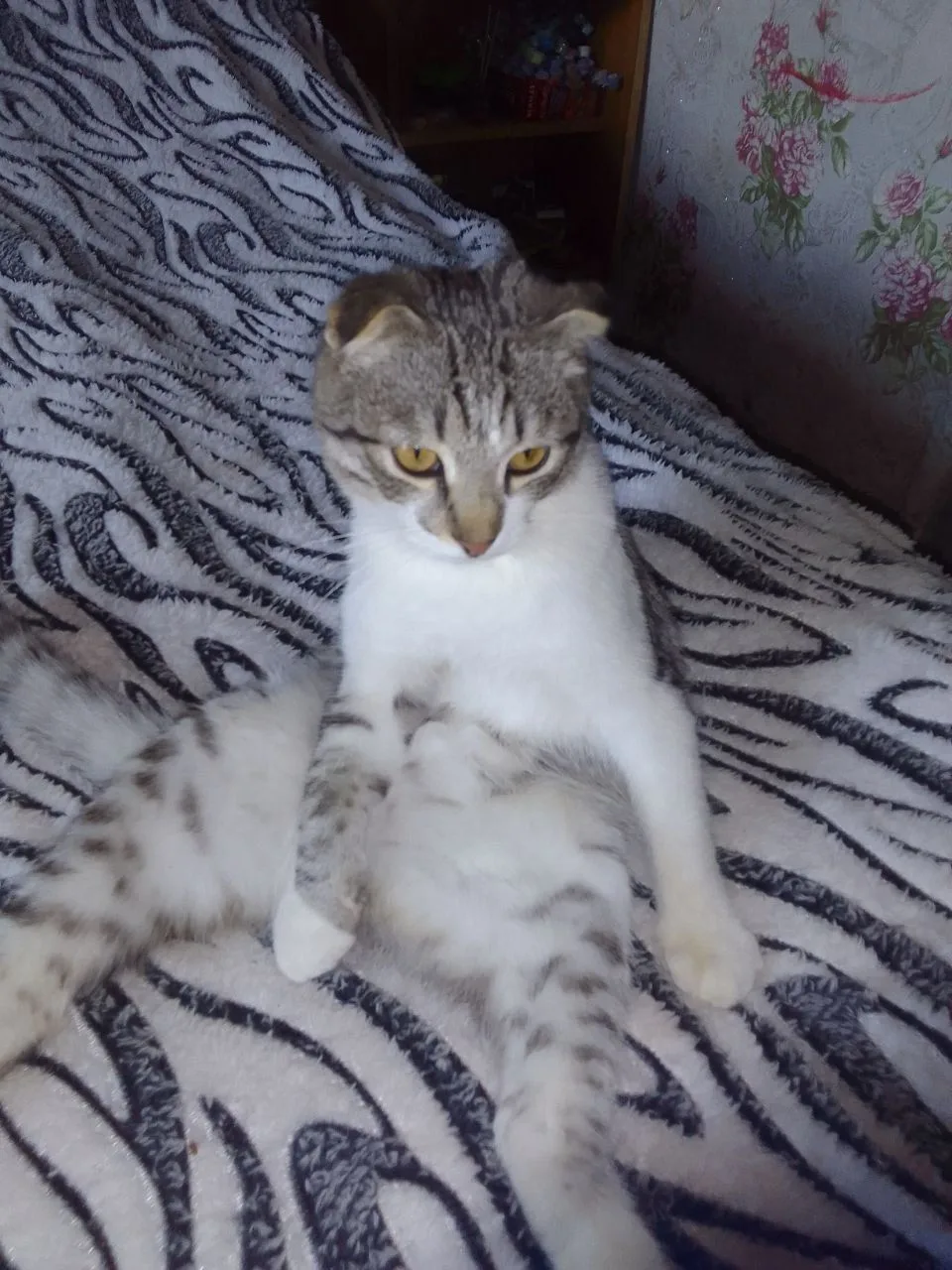 — Проснулся, а что дальше...?

❤️, если у вас такое же состояние после длинных выходных

📸 прислал 