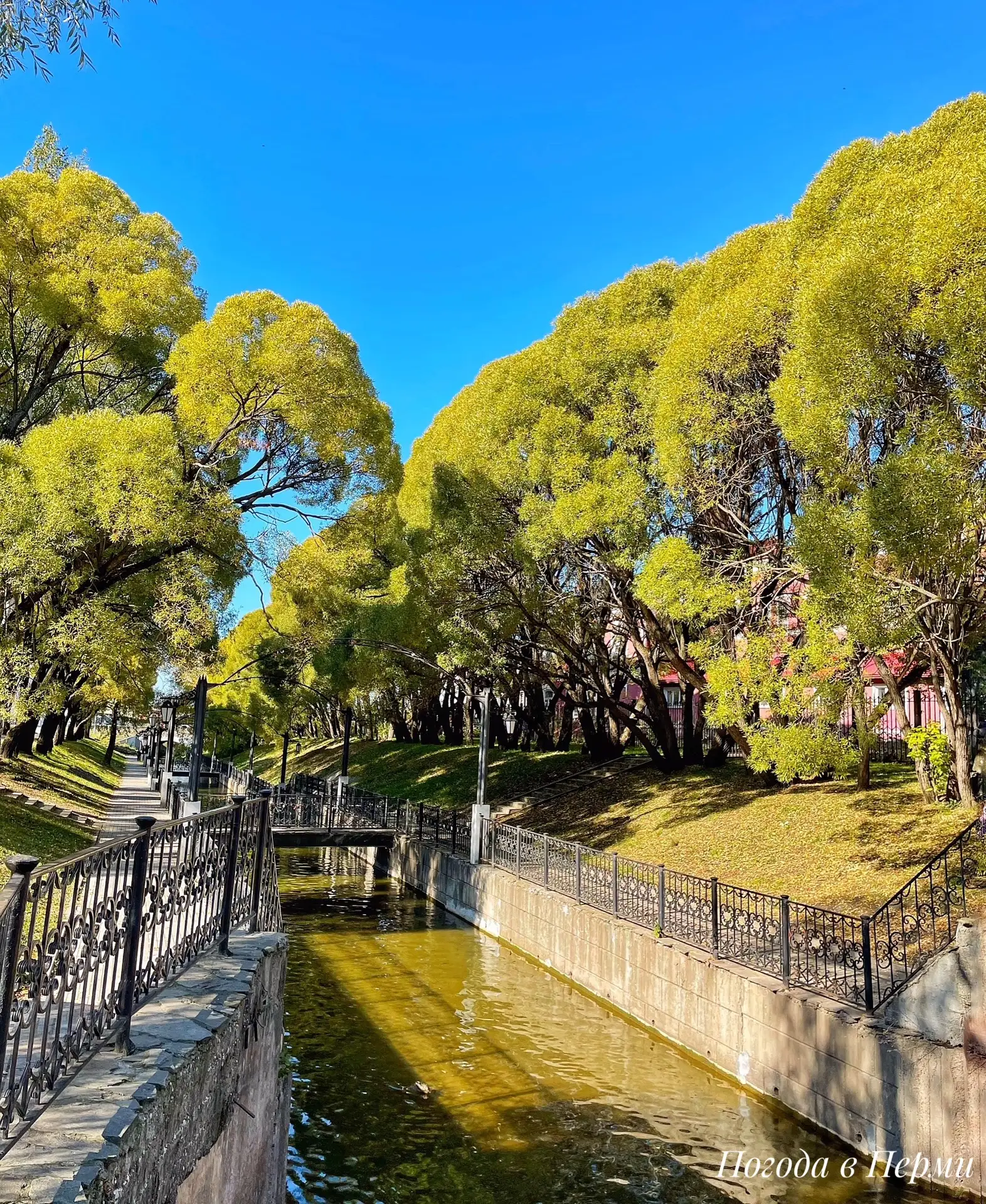 ☀️🌳 Солнечный Райский сад в Мотовилихе