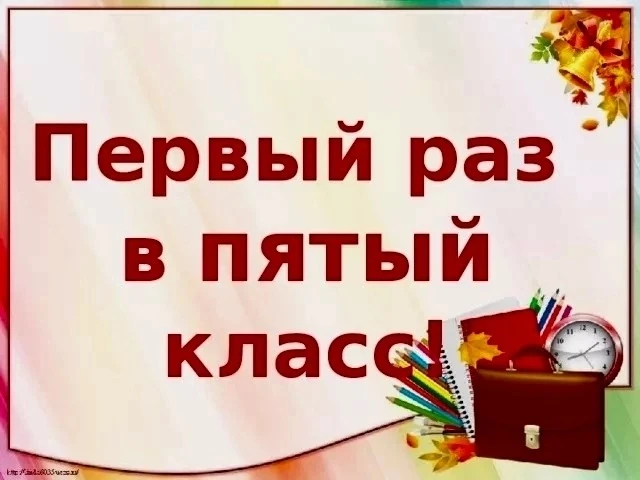 🏫 5 класс: переход к самостоятельности