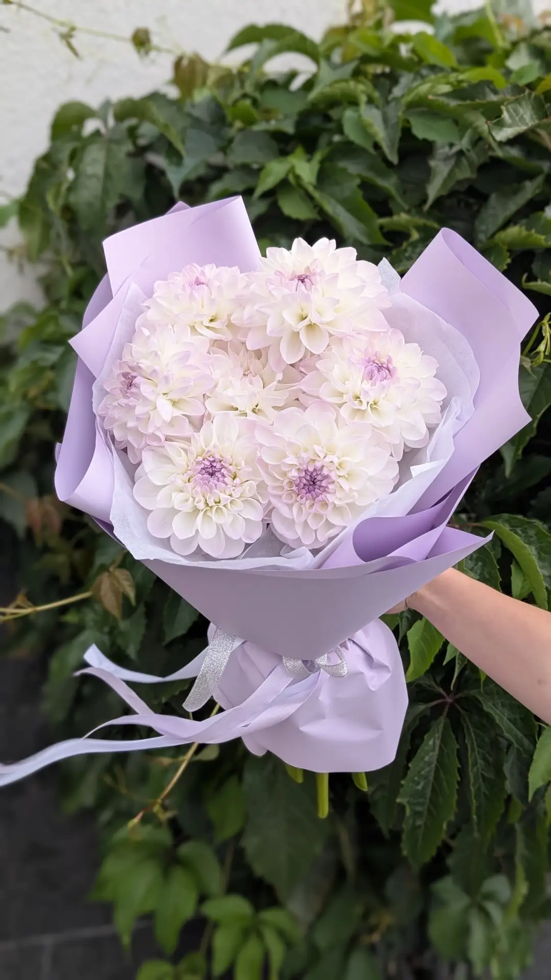 Сезонный букет "Лавандовое облако" из нежных махровых белых георгин 💜