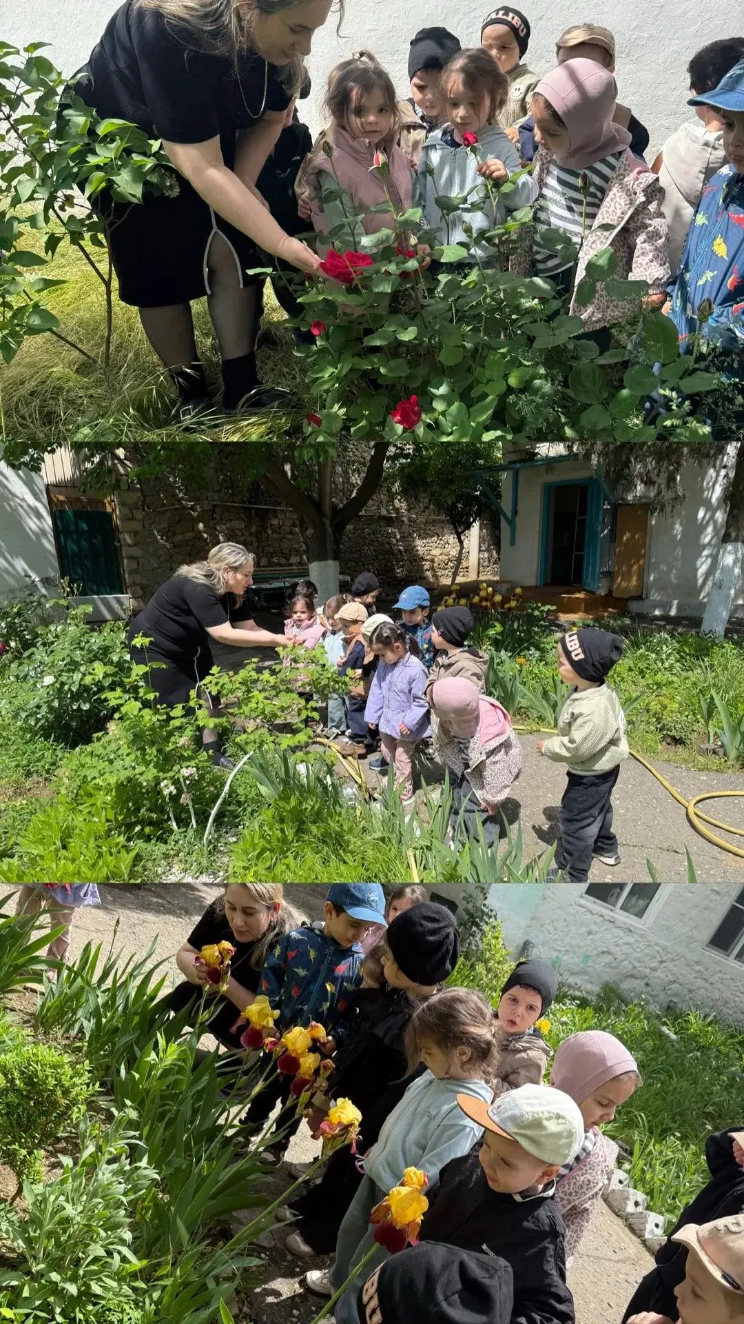 🌿Малыши учатся дружить с погодой