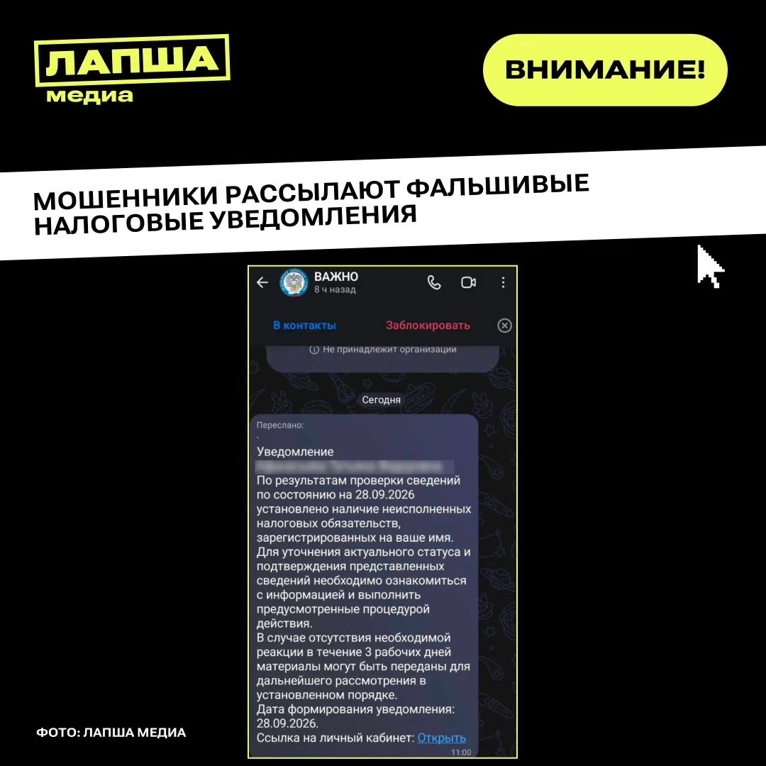 🥷 Осень – традиционное время для массовой рассылки уведомлений об уплате налогов, чем ...