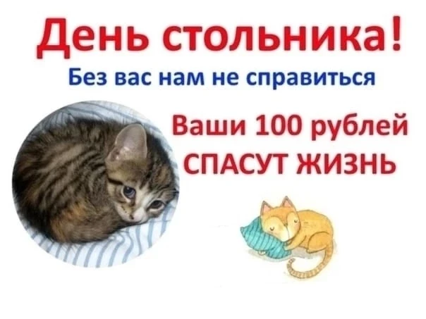 💕Сегодня День Стольника! 💕