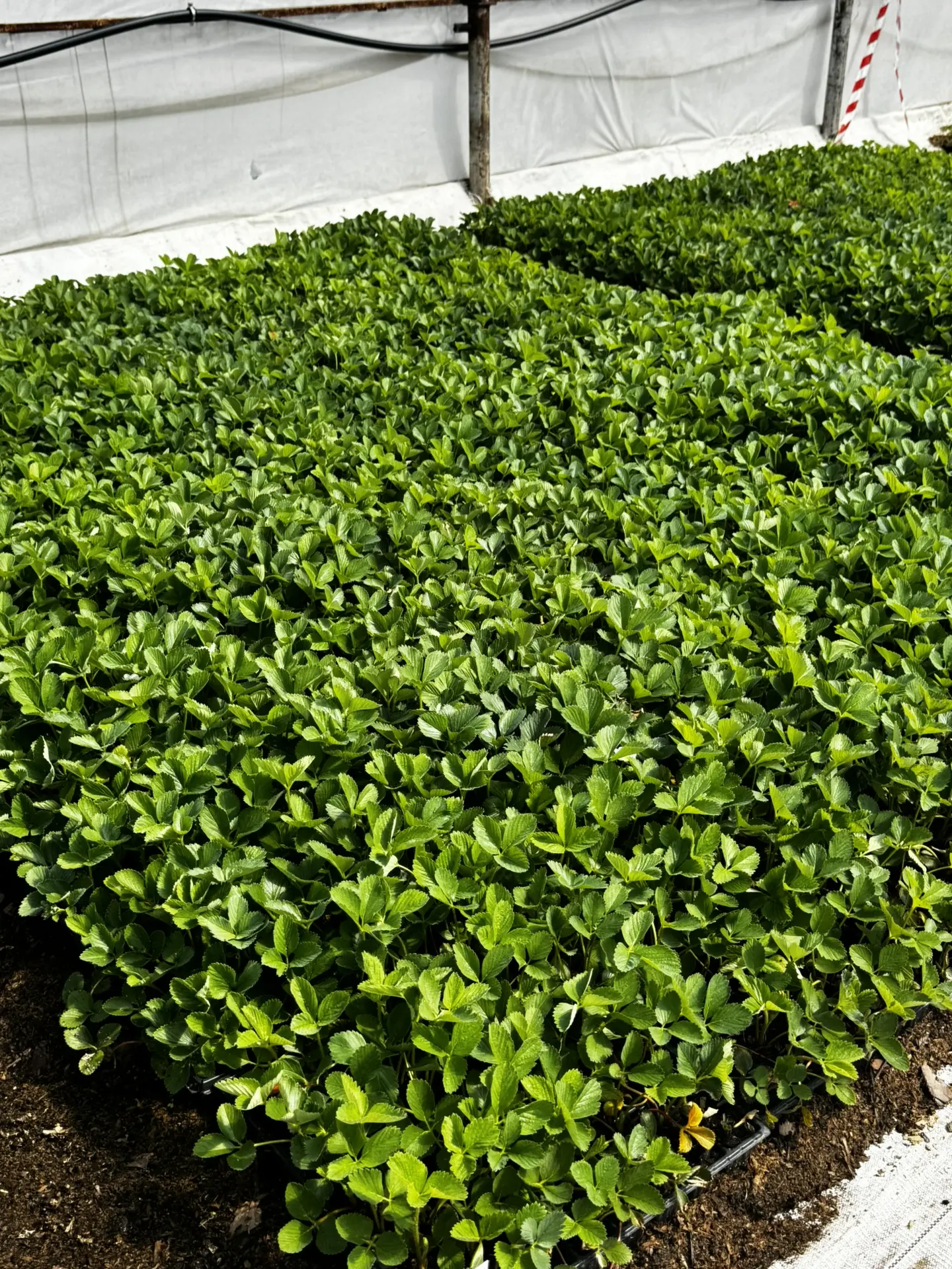 Доброе солнечное утро 🌱🌞