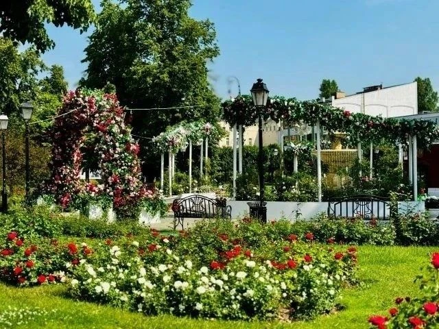 Идем на бесплатную экскурсию «Истории сада "Эрмитаж“»🌳🎭