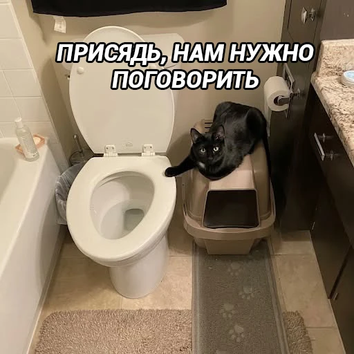Настало время важных переговоров