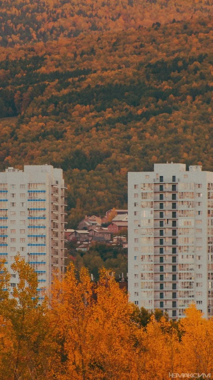 Атмосфера осеннего Красноярска 🍂