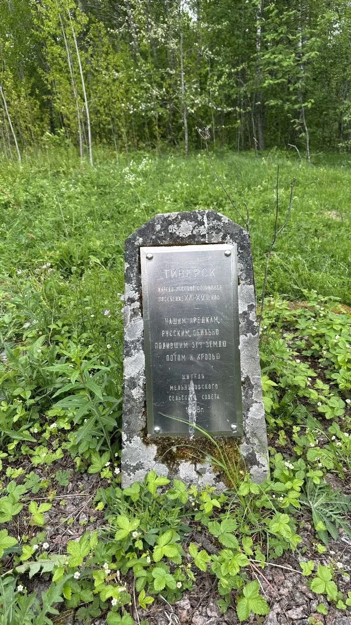 Что такое Тиверское городище, где был найден клад.