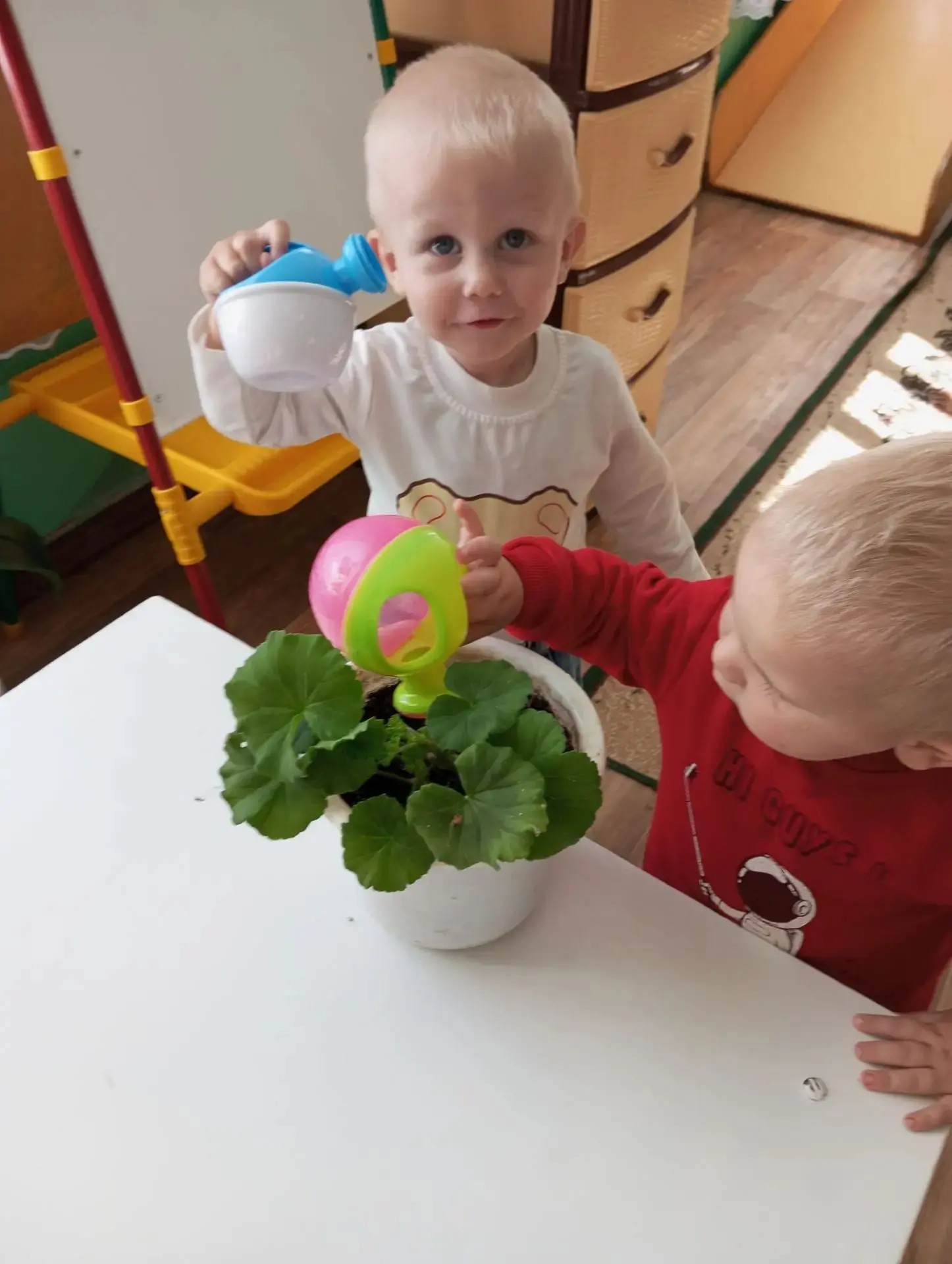 Сегодня   дети младшей группы учились поливать цветы .Малыши  по очереди поливали расте...