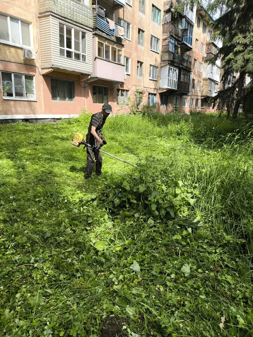 С целью приведения территории в надлежащее санитарное состояние в Кировском внутригород...