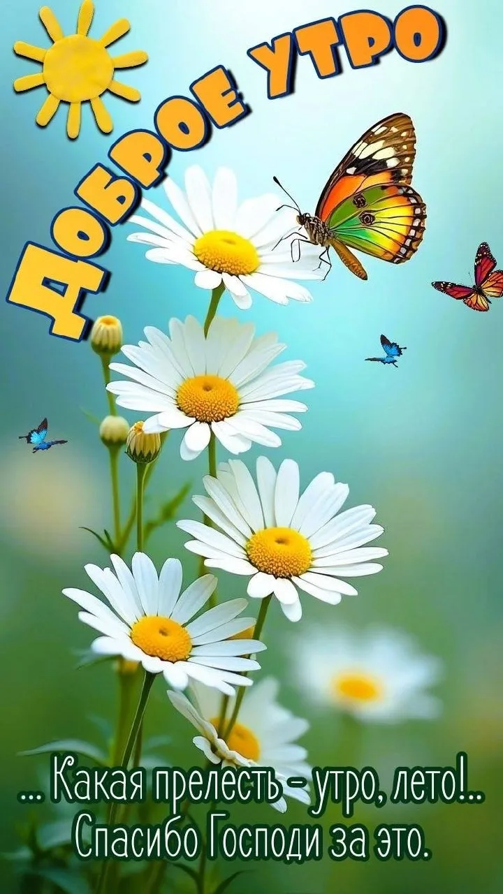 🌷 Открытки подписаться 👈