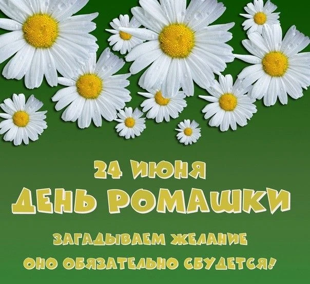 Я ромашку на лугу
Отыскать всегда смогу:
В белом платьице она
И нарядна, и скромна.
    Если спросит