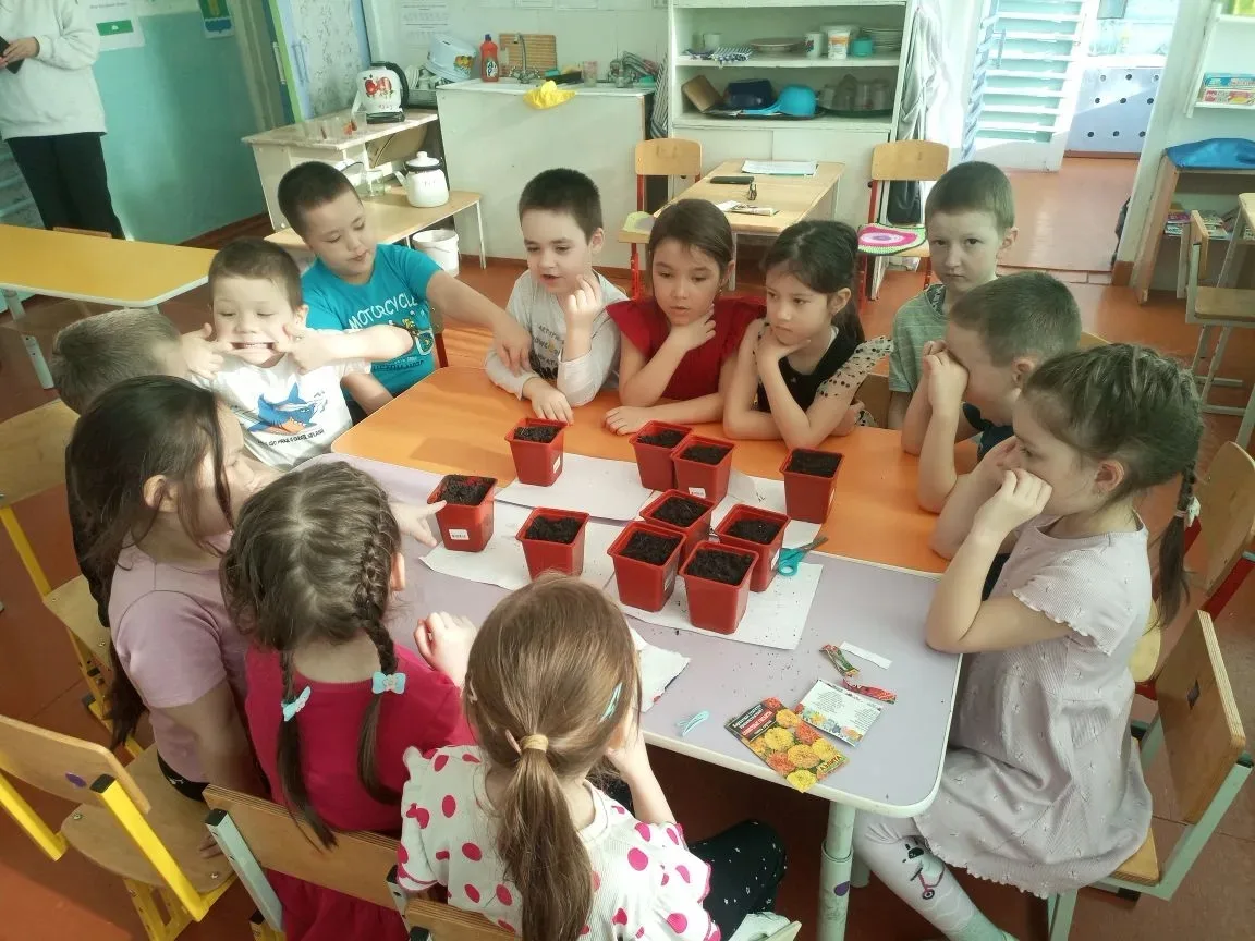 Закончилась зима. Солнышко все выше и выше. Пришло время посадок. Развести огород на по...