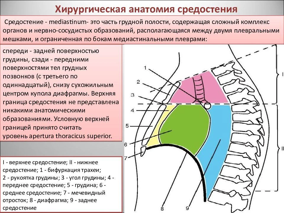 Средостение
