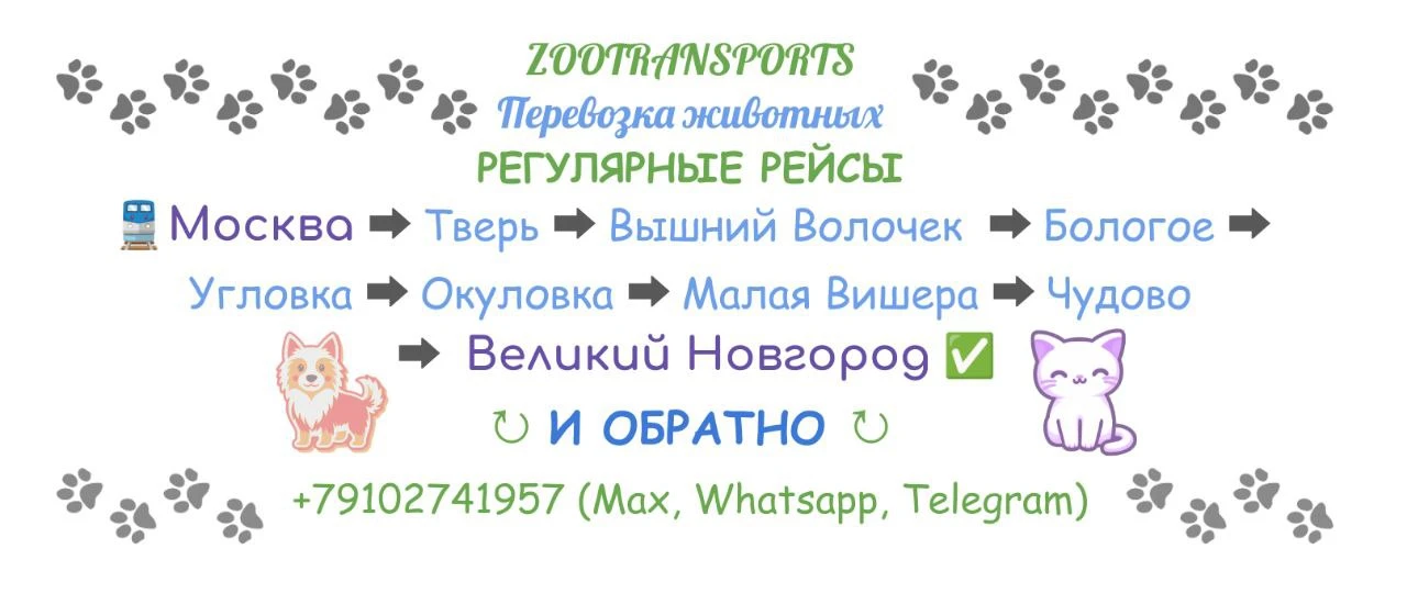 Контакты: +79102741957 (Max, Whatsapp, Telegram).