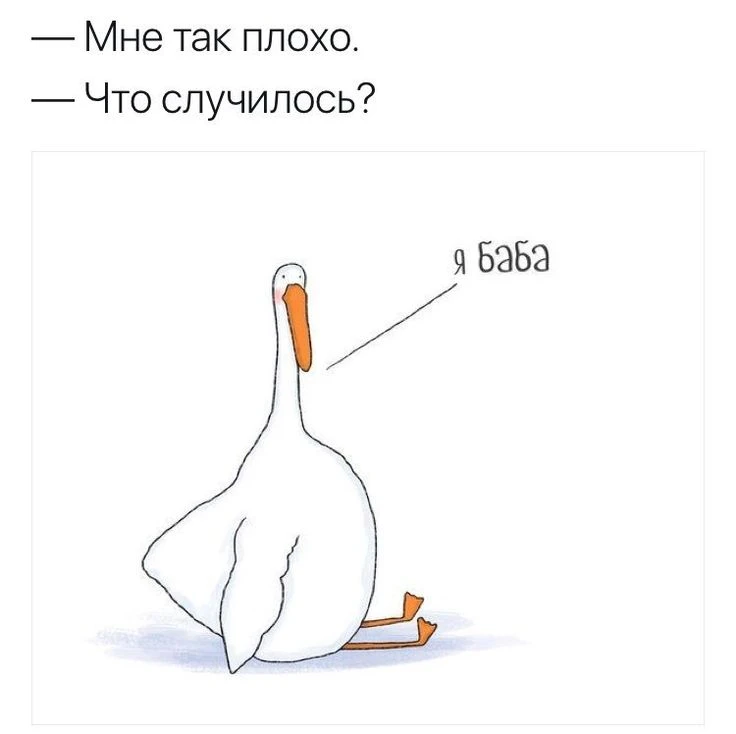 Подпишись, чтобы не потерять👇