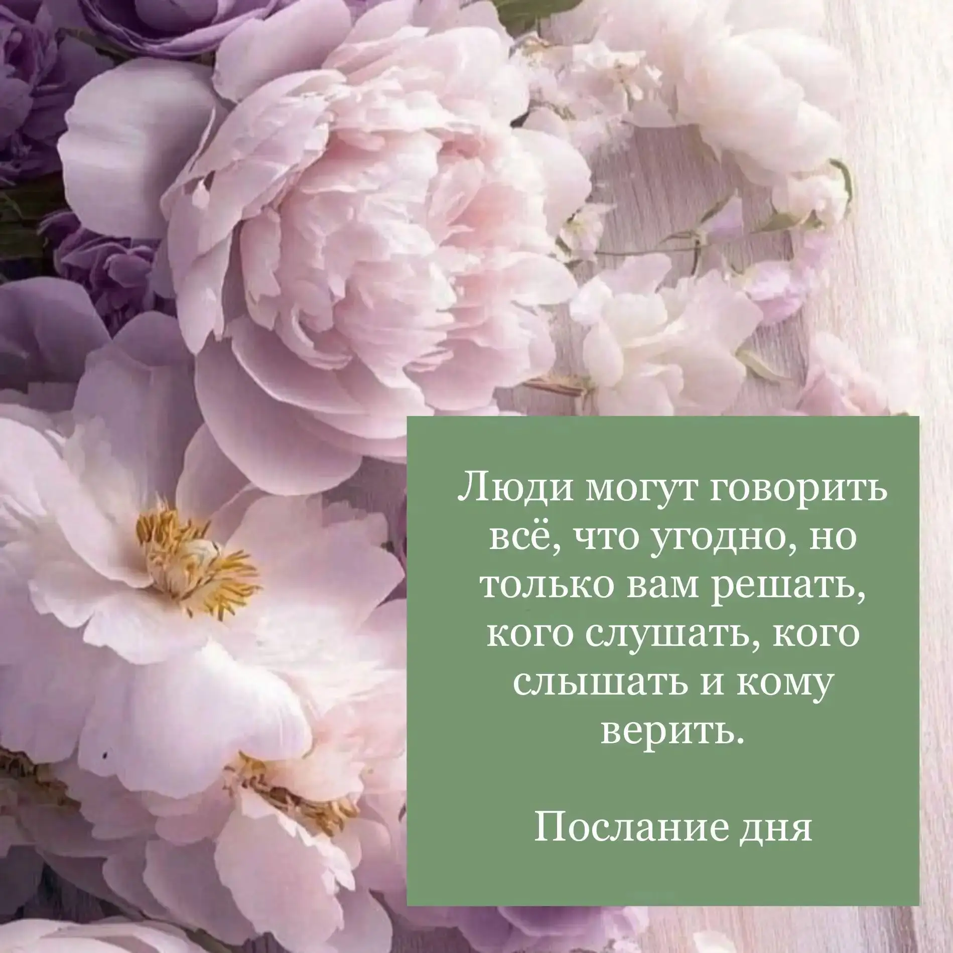 Послание 💌 дня