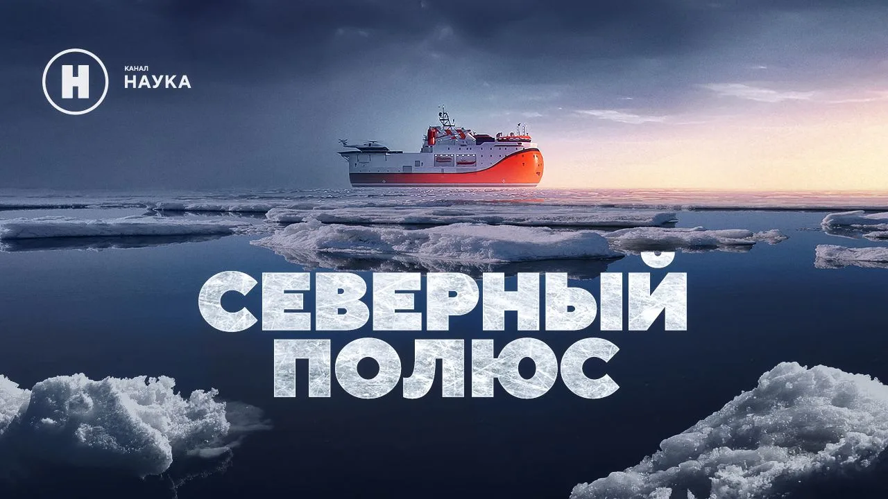 «Северный полюс» покоряет Ближний Восток: наша документалка на международном кинофестивале