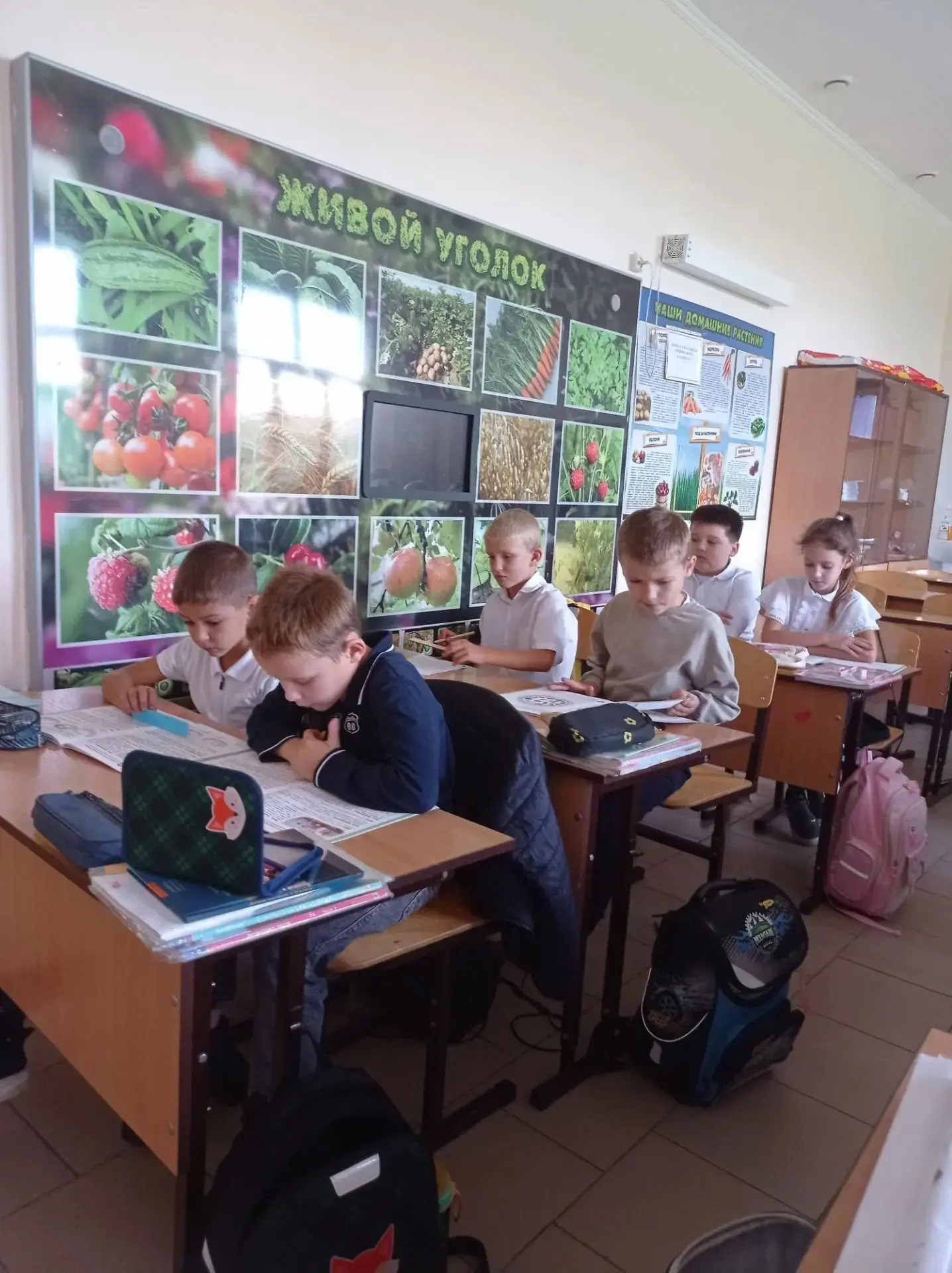 Во 2Г классе прошел очень полезный кружок «Правильное питание». Разобрались в важной те...