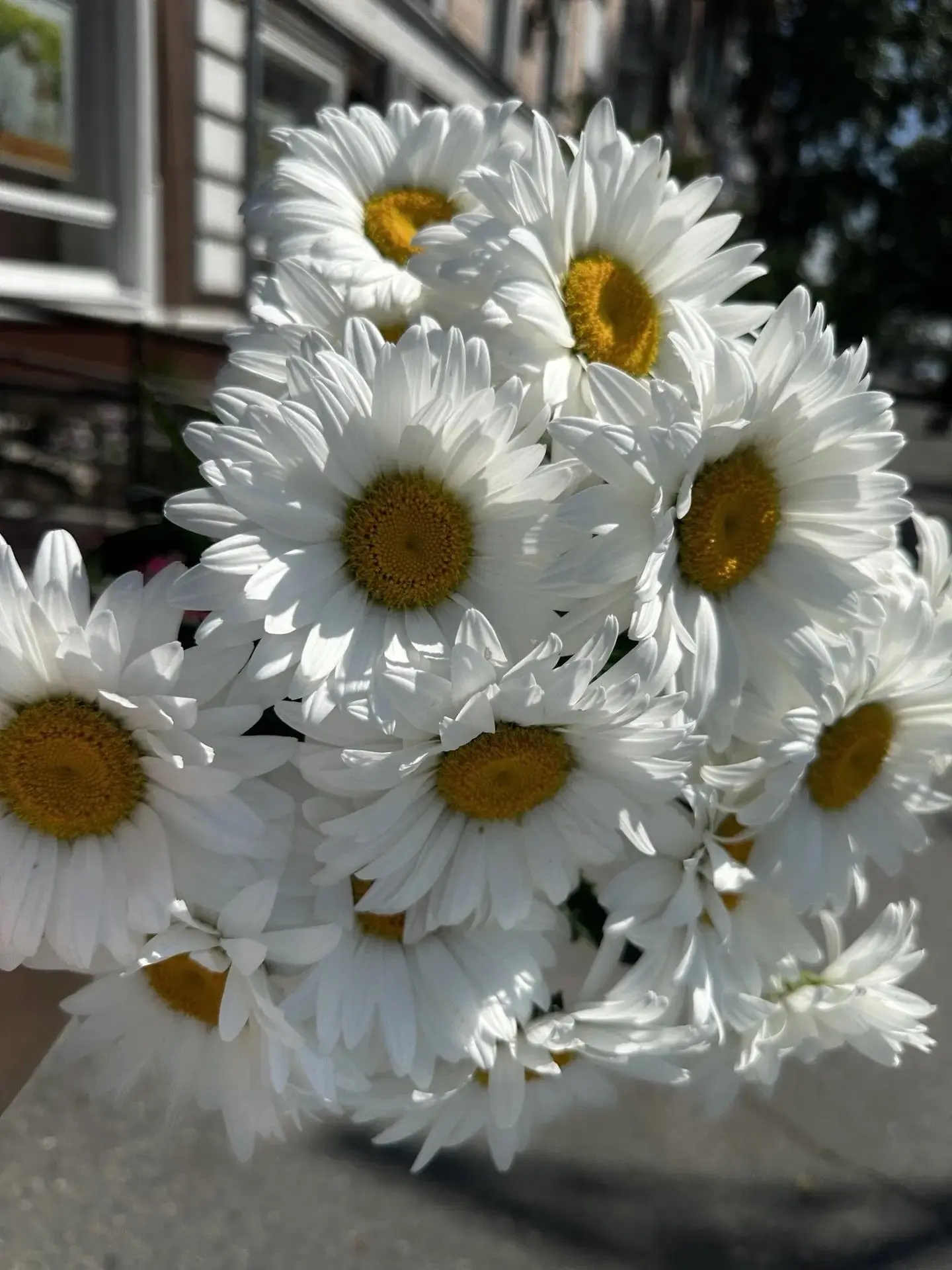 ☀️ Доброе утро!