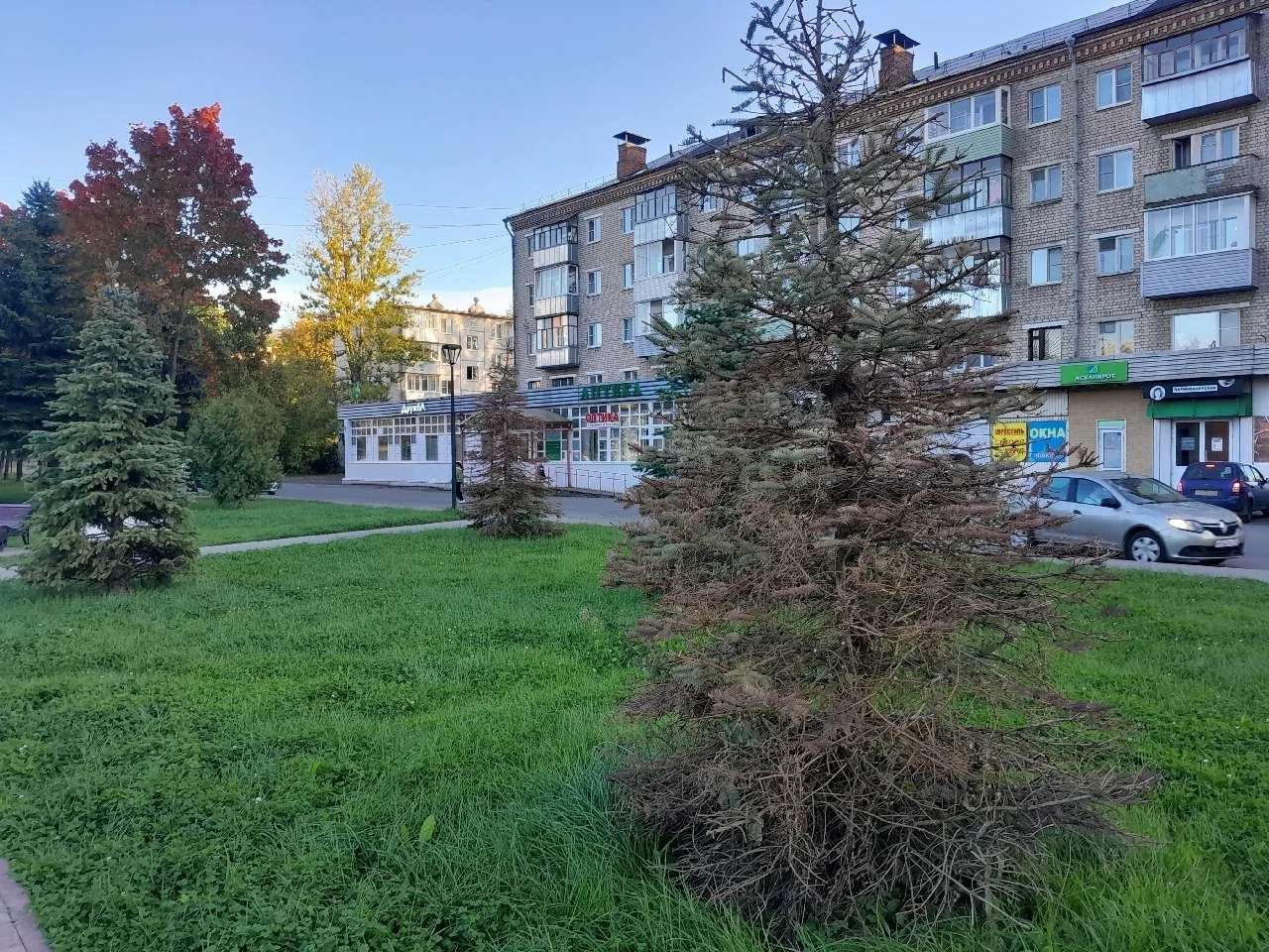 Выстояли не все!